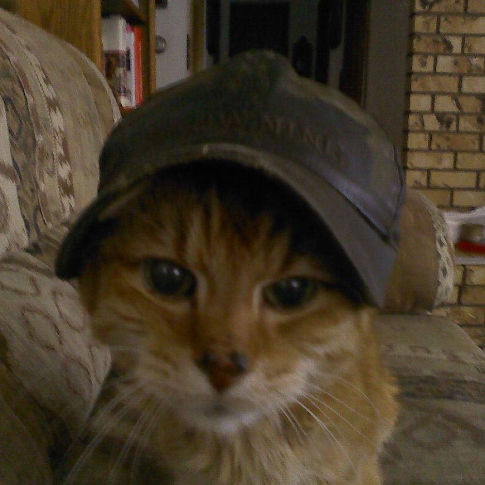 Old man freaker