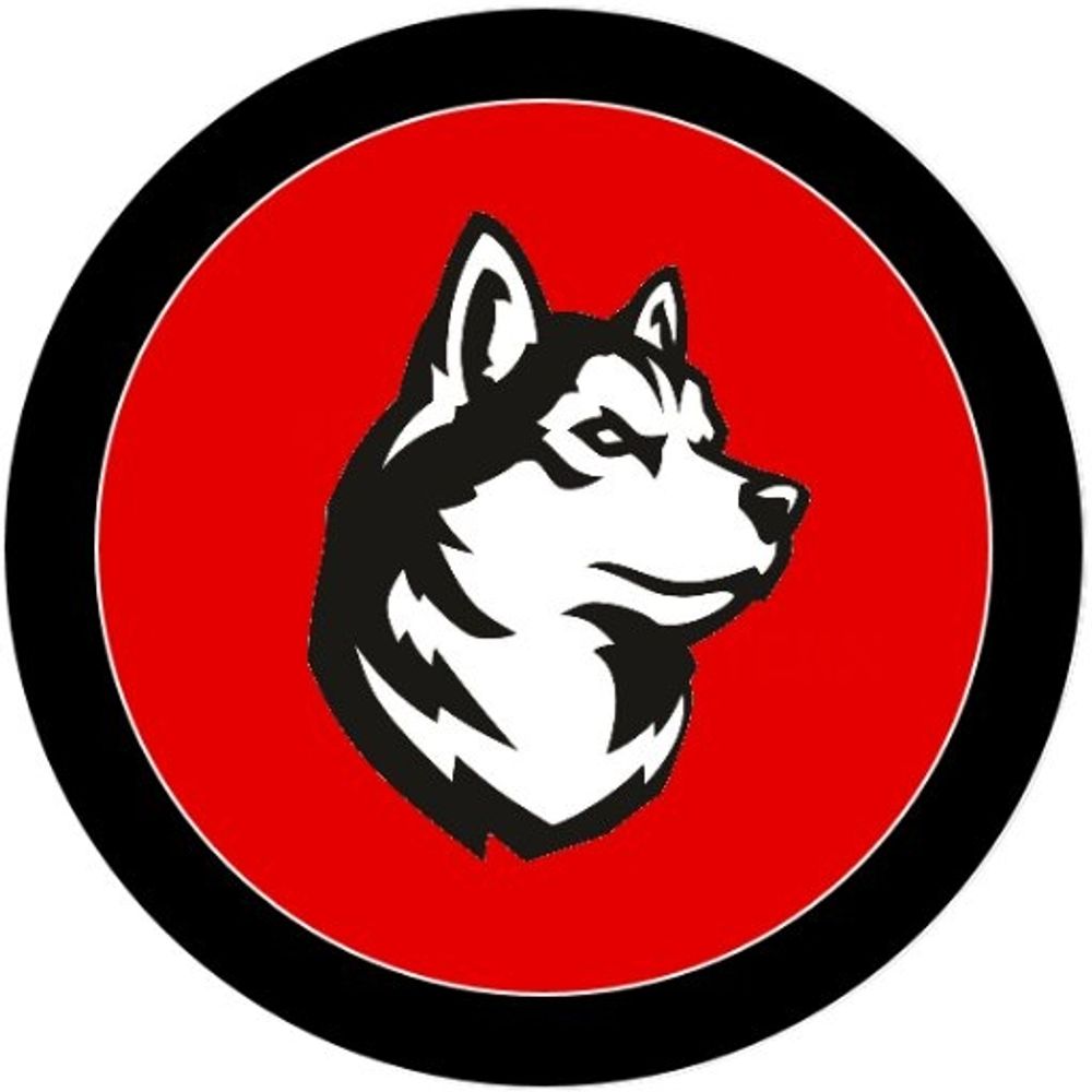 Northeastern Hockey Blog