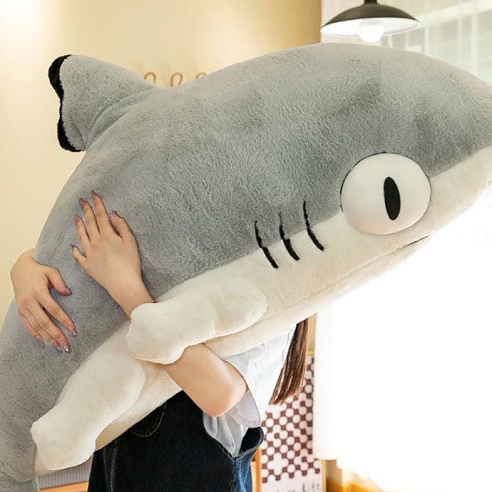 shark 🇸🇬