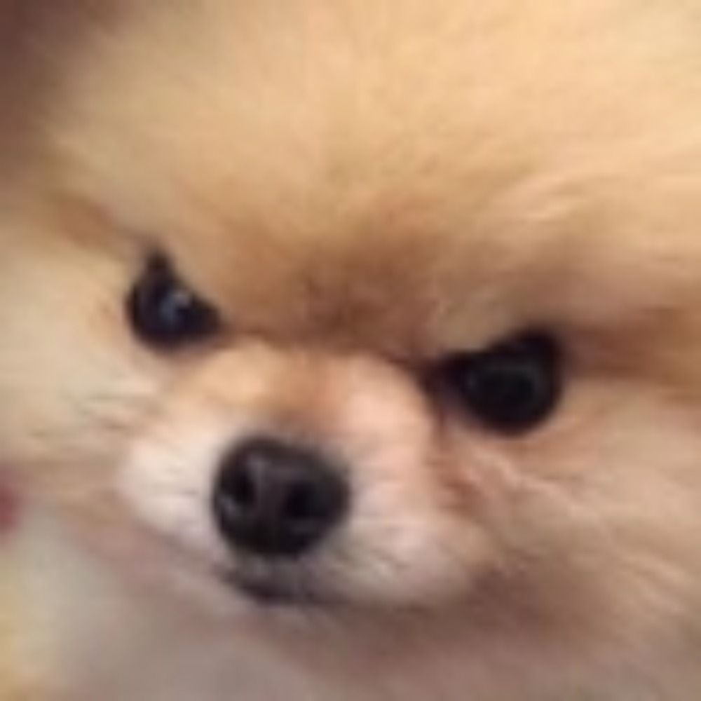 색곰