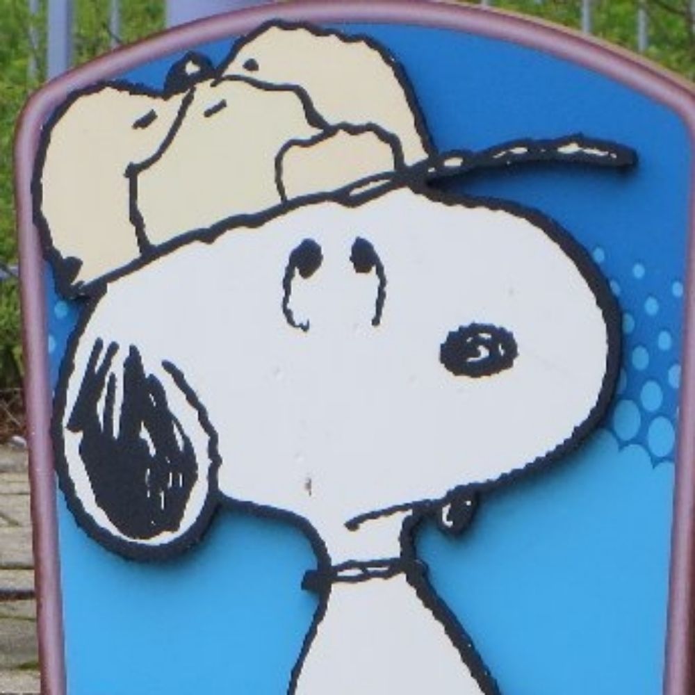 CoasterCircuits