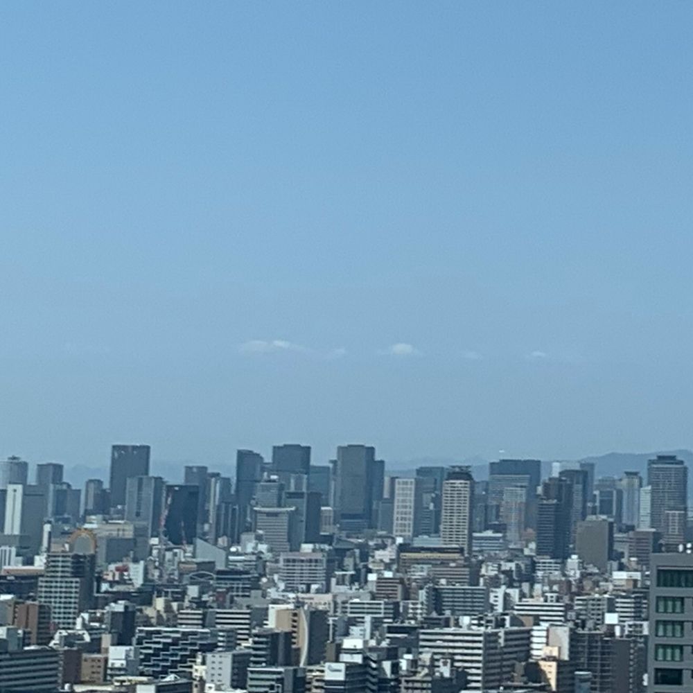 迫都れんかい