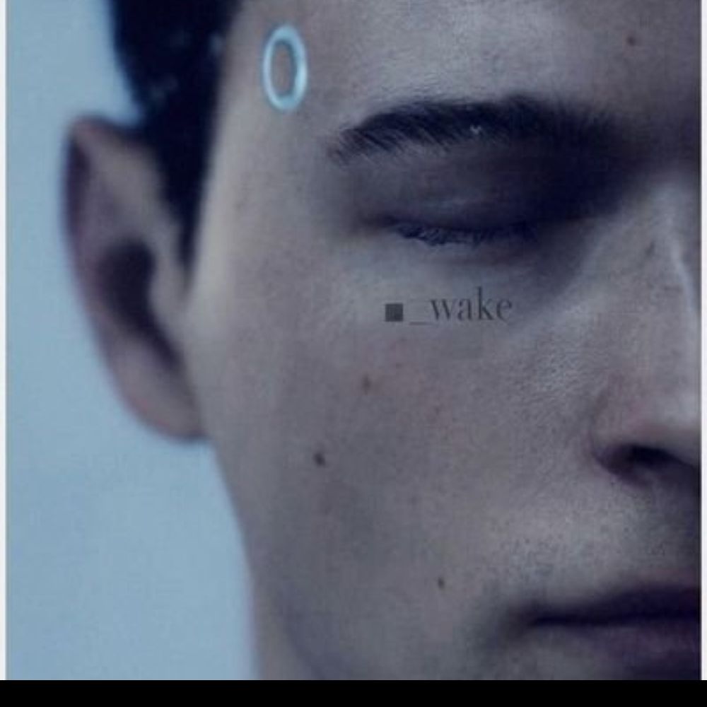 RK800