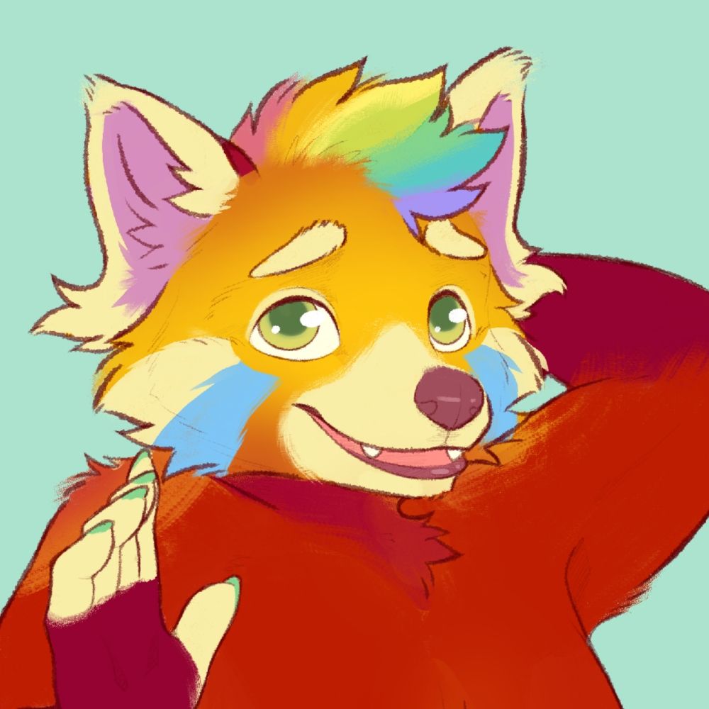 Ollie the Red panda