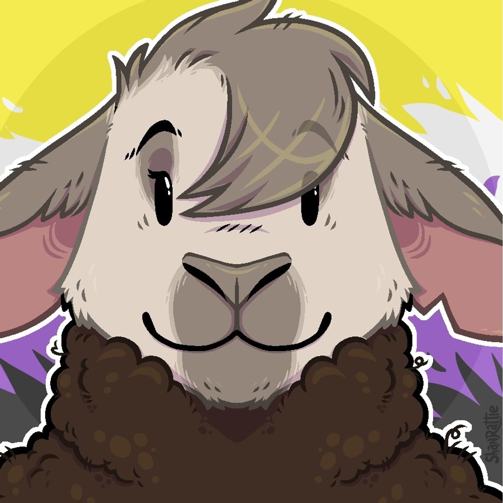 Cashmere 🐑