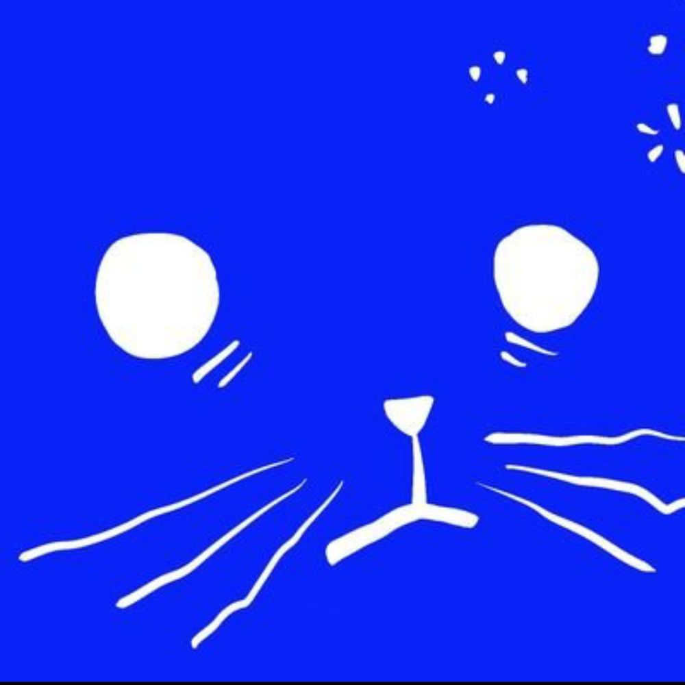 Pspspspsps🐈🐋💨