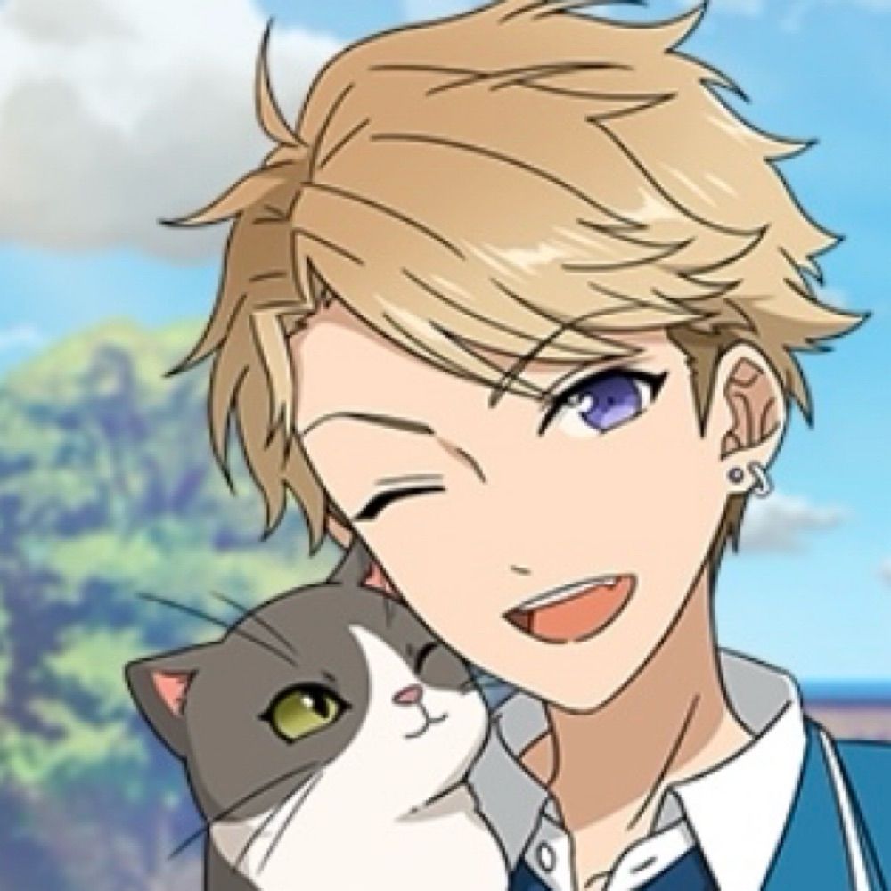 メス猫
