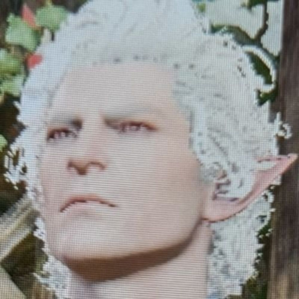 Rowyn Is Goin' Through It (BG3)