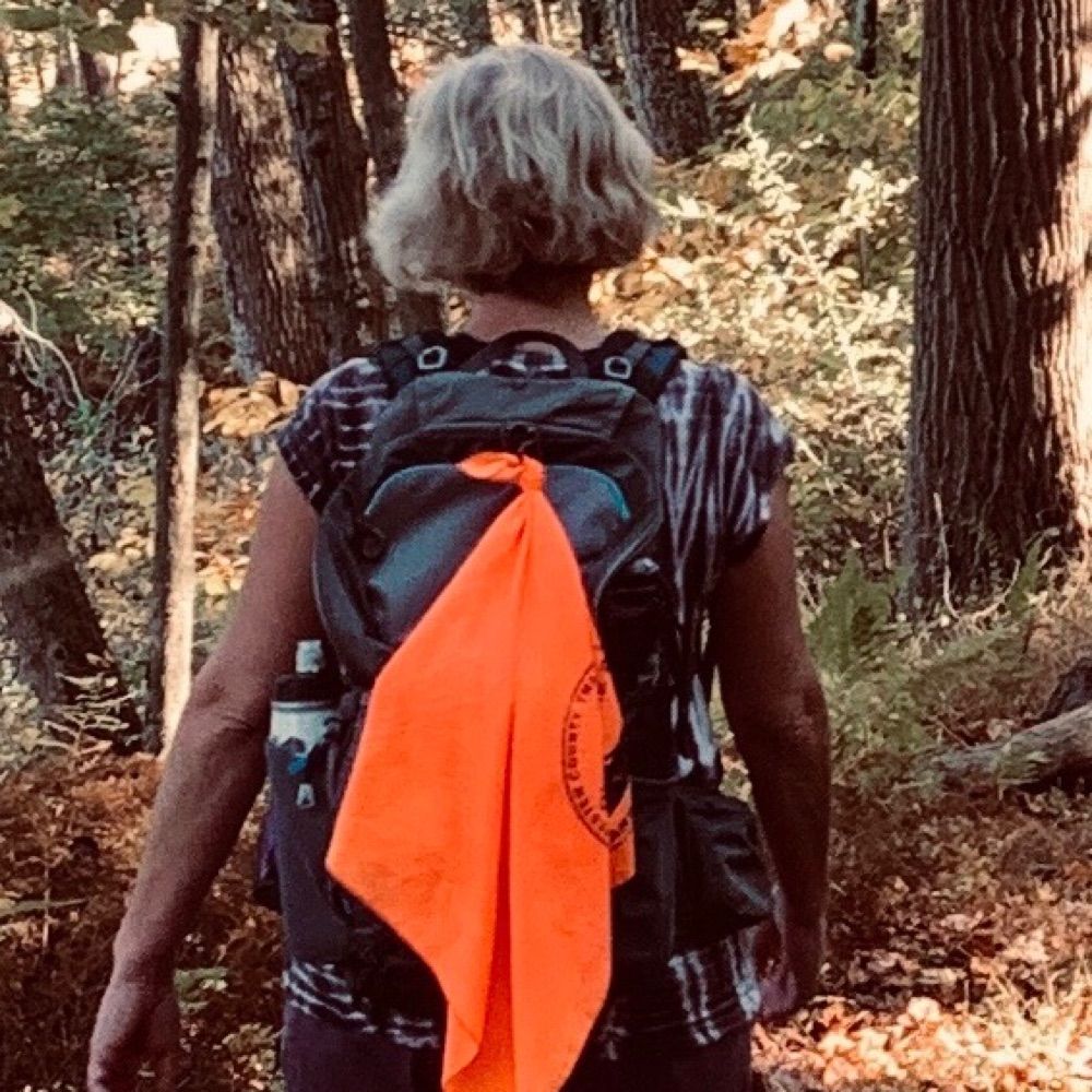 Carol Meerschaert