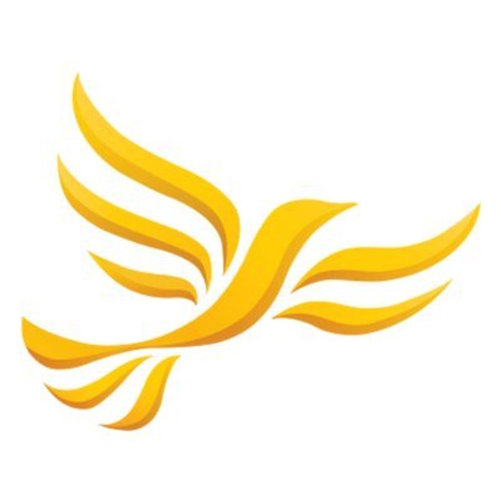 🔶 South Wimbledon (Abbey Ward) LibDems 🔶