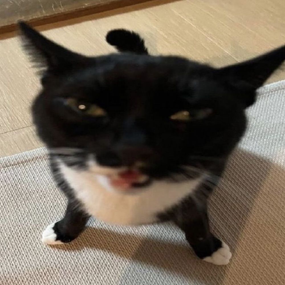 Teehee