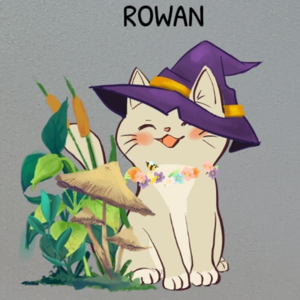 Rowan Schmieman