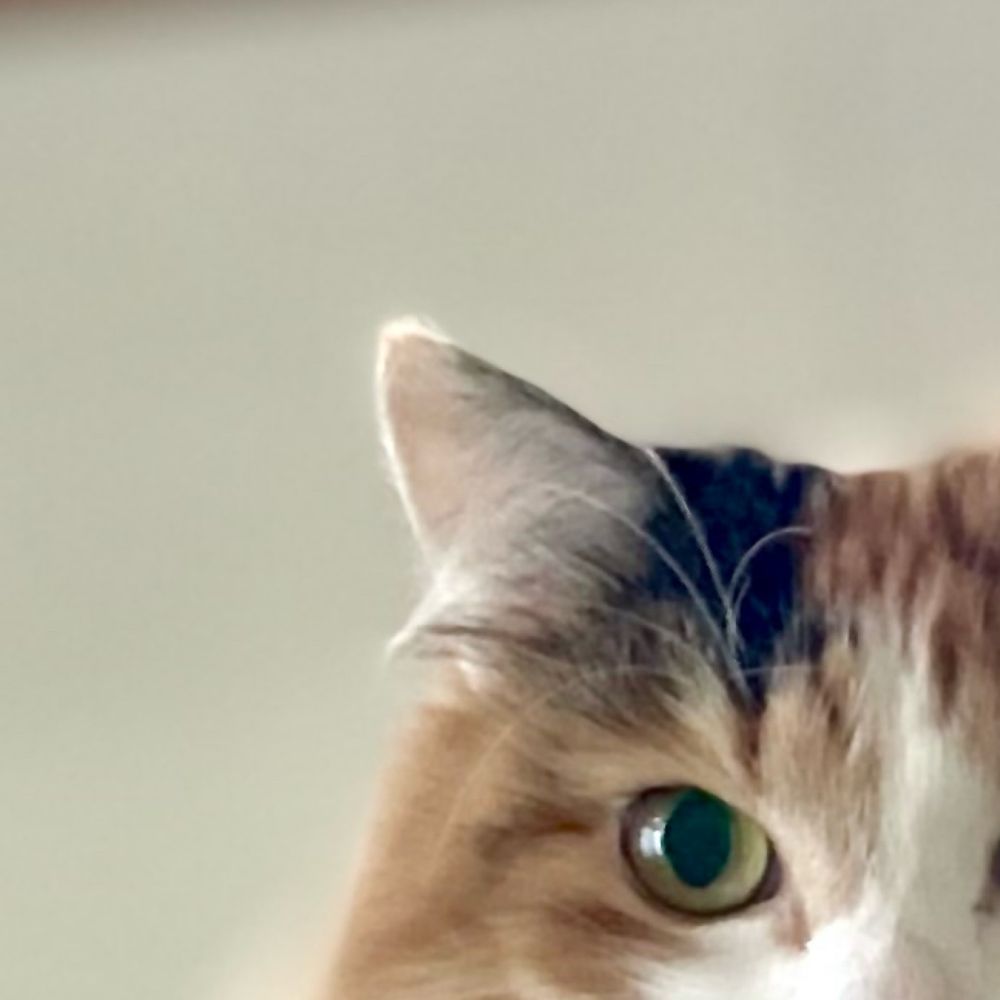 すぷー