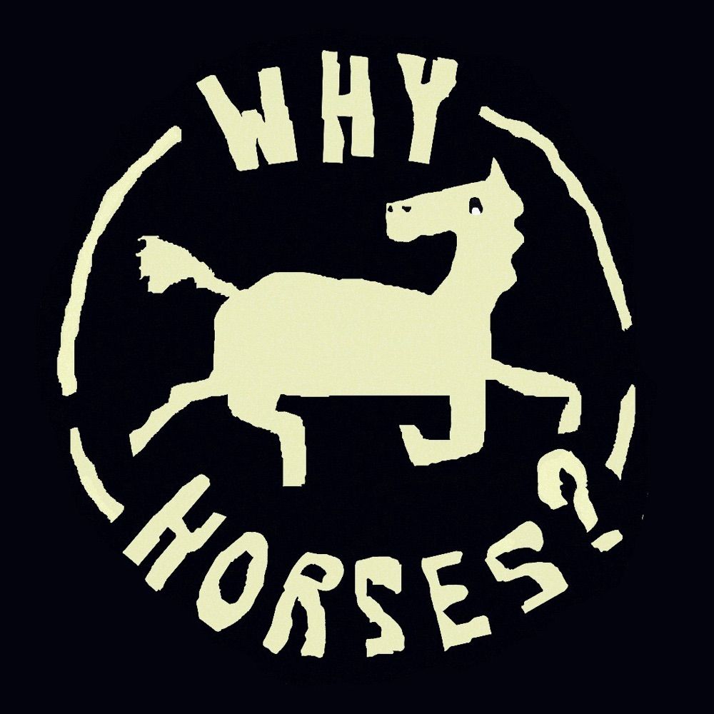 Why Horses?