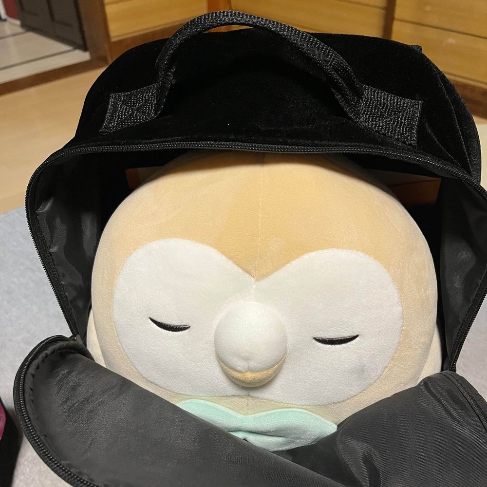 フブキ❄️