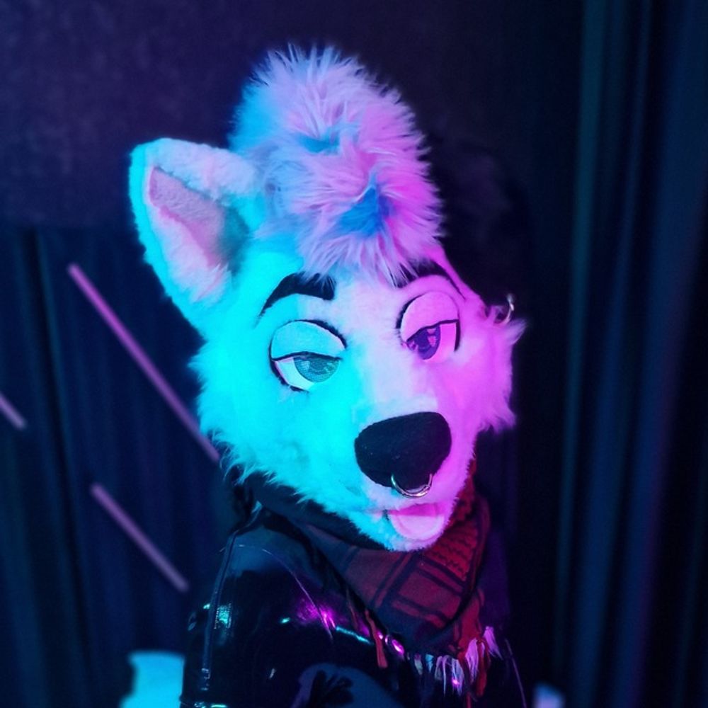 ~𝘽𝙍𝙐𝘾𝙀~