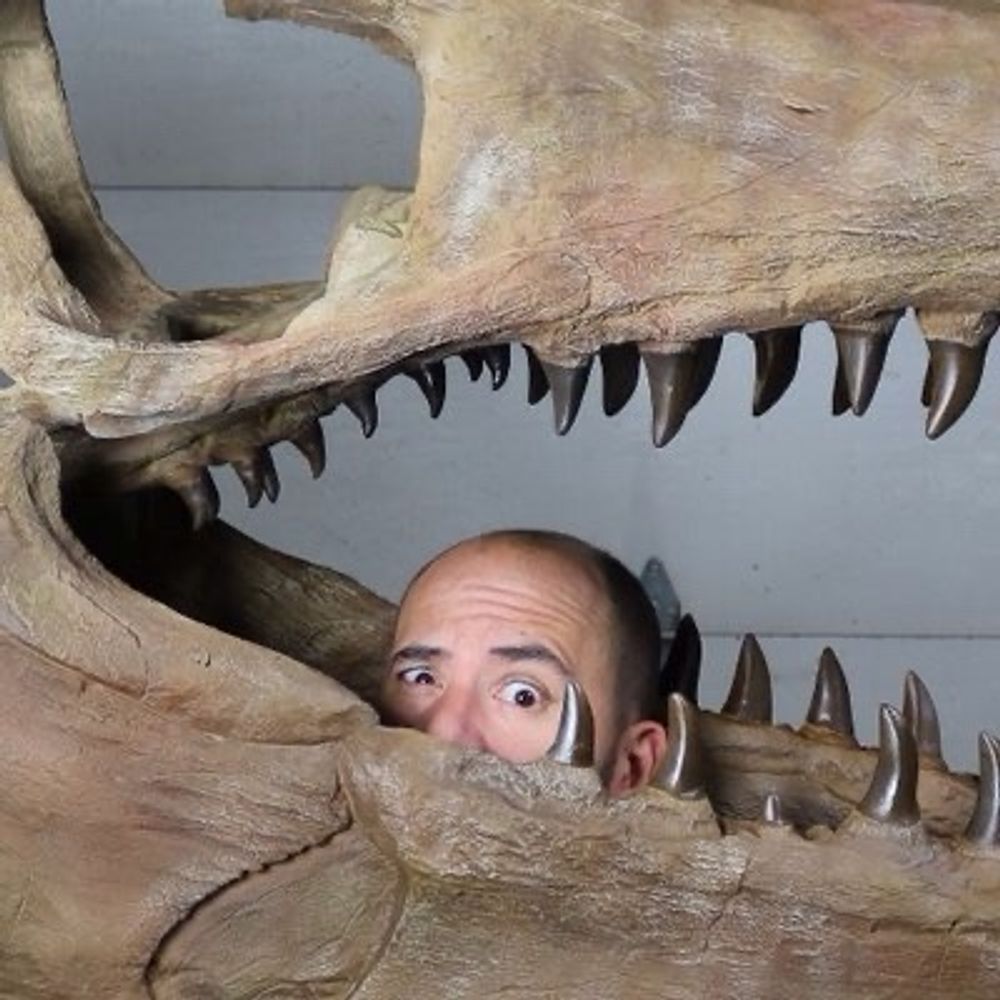 Anthony Hunting Tyrannosaurus 's avatar