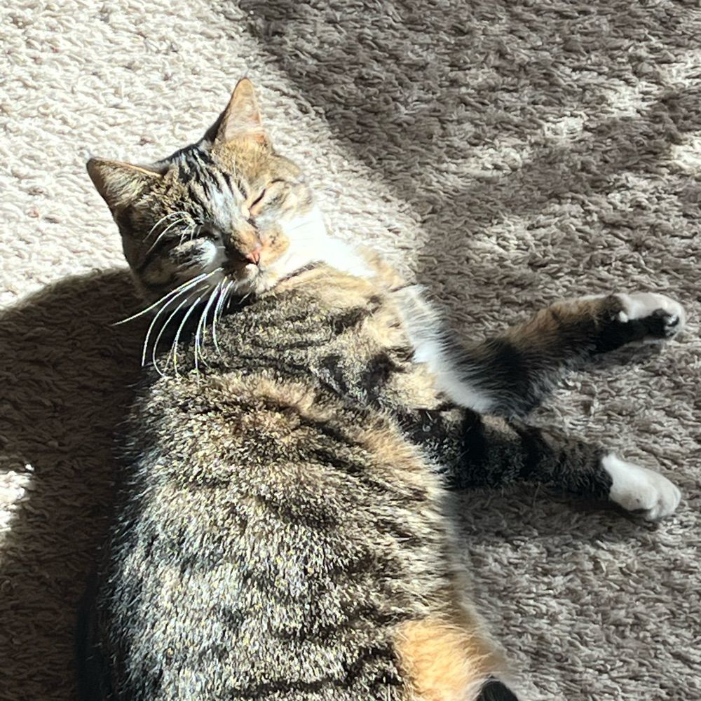 Jo