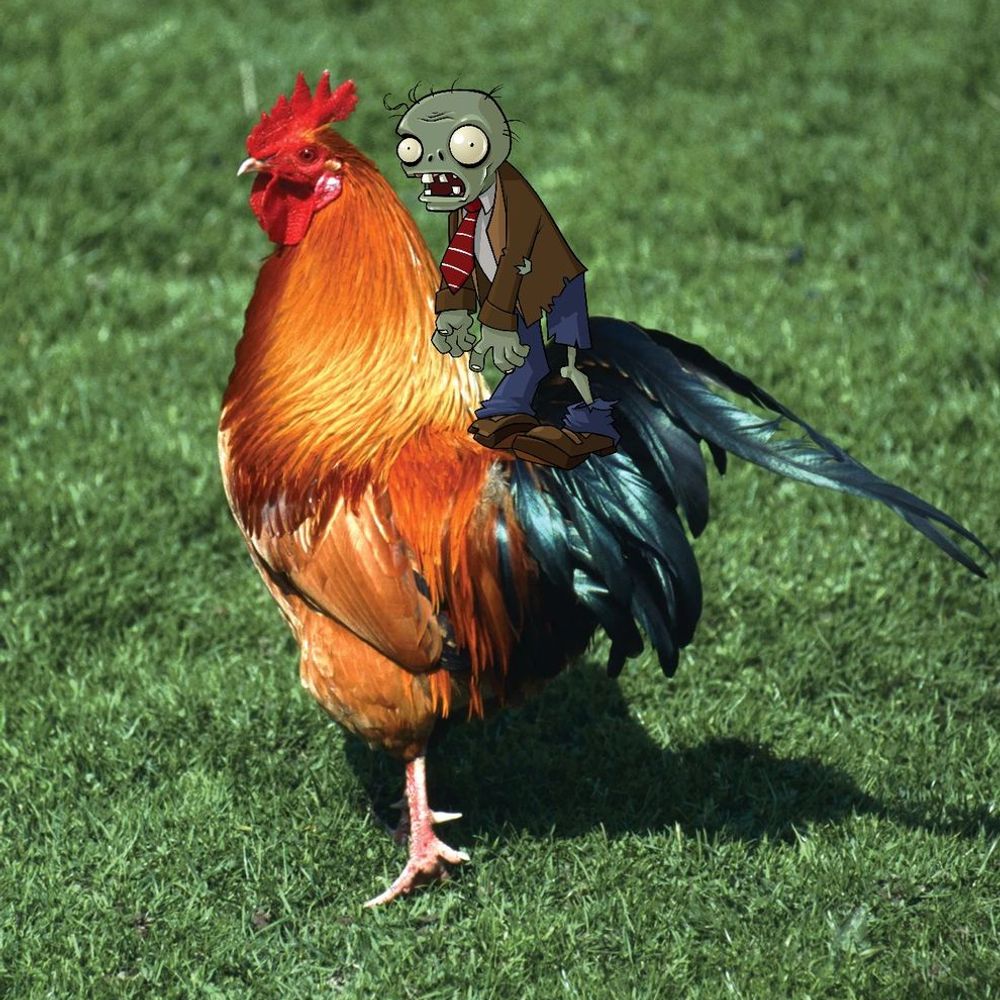 CHICKEN JOCKEY!!!