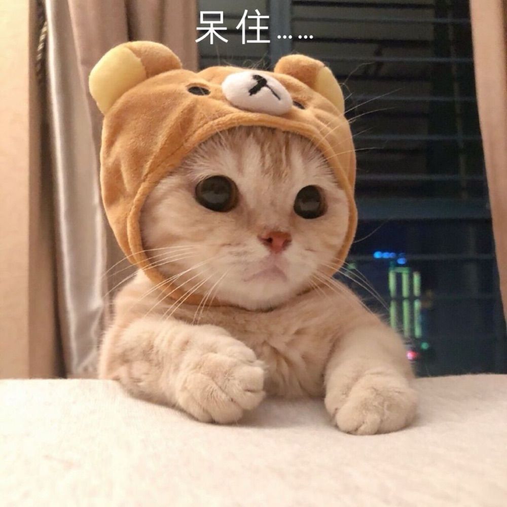 隔壁老王
