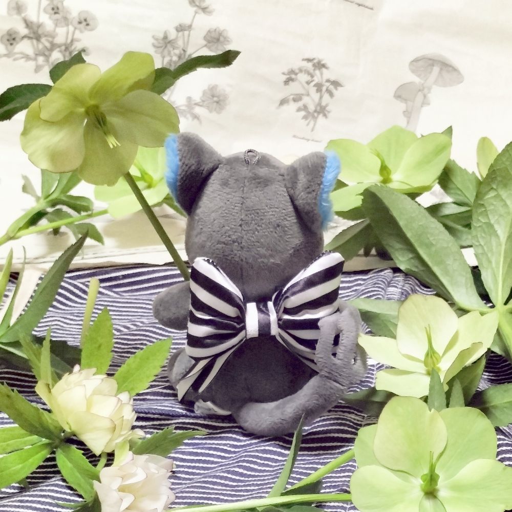七草☘️ちゃんと寝る