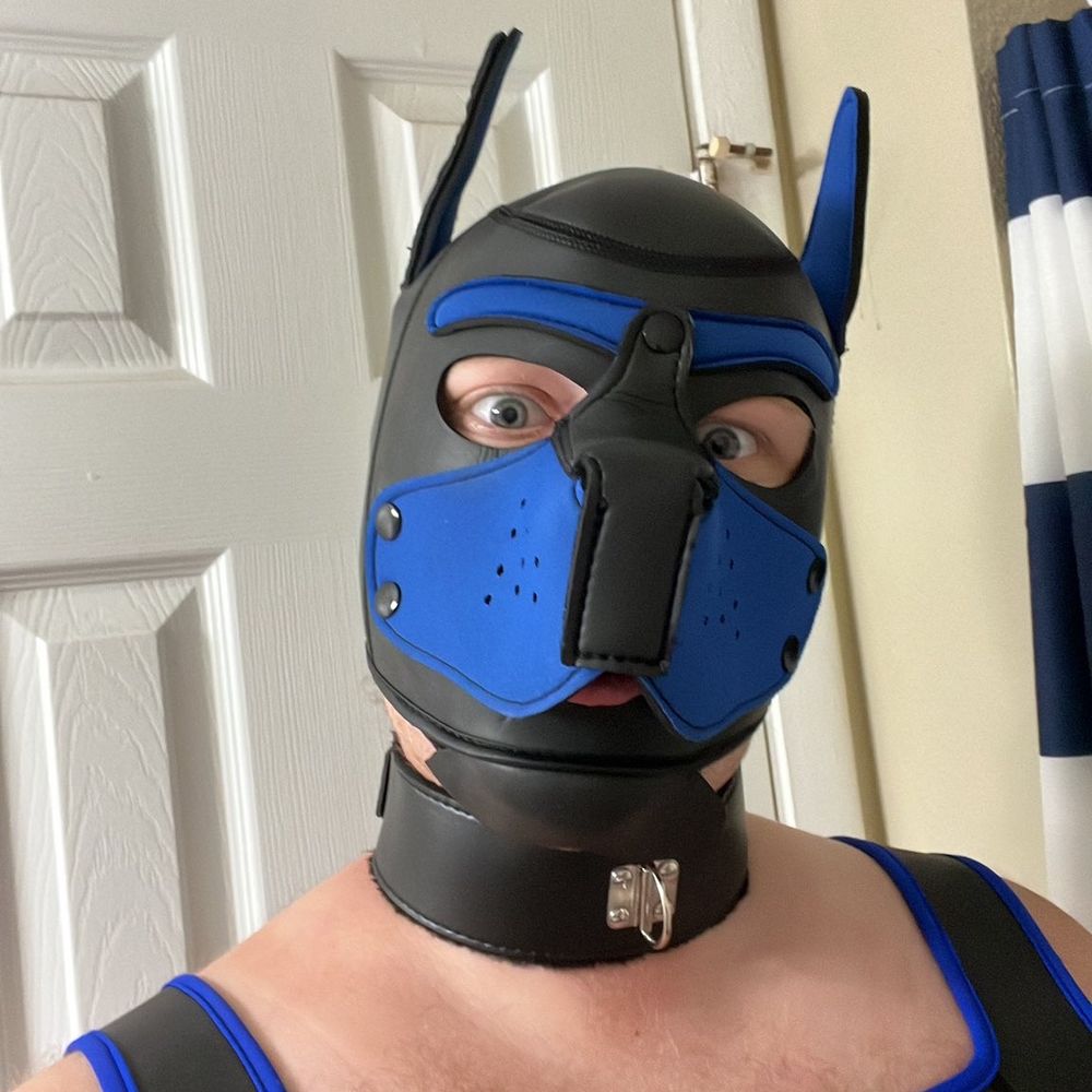 Pup Tempest
