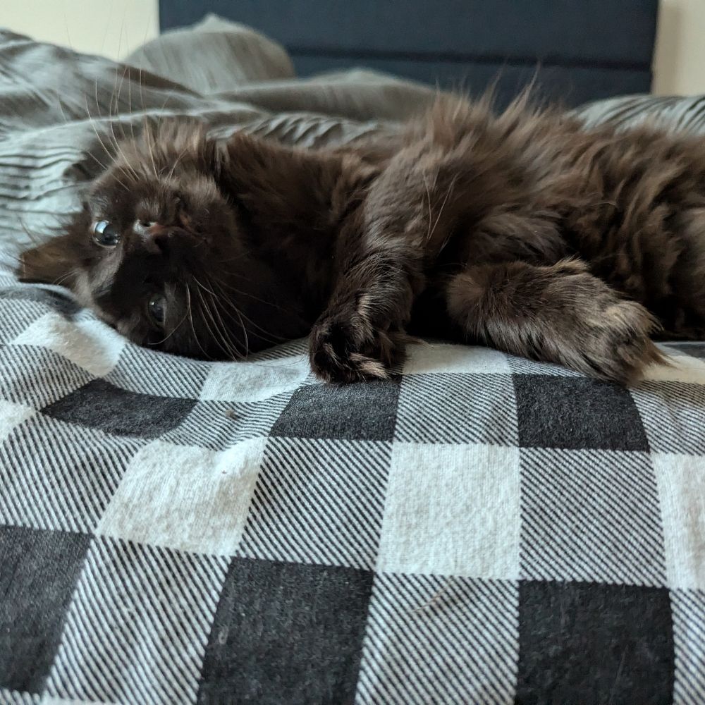 CocoTheCutie