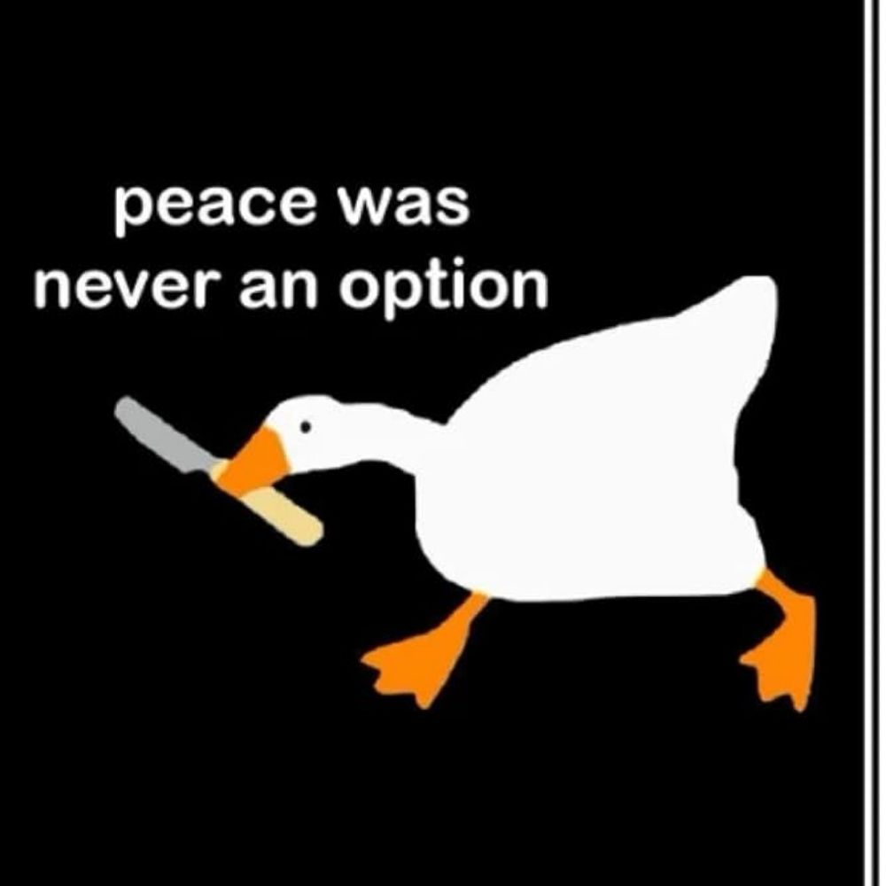 Silly Goose