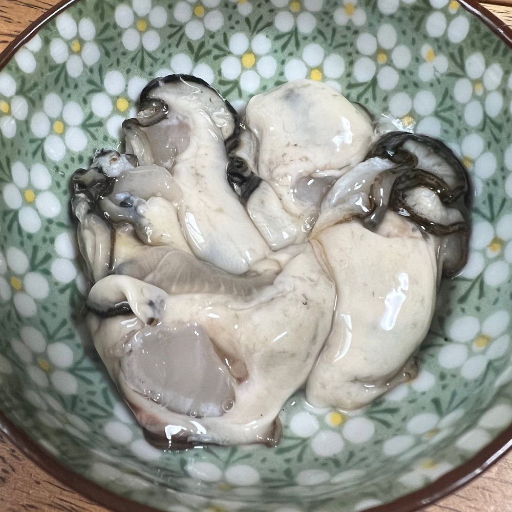 真朝