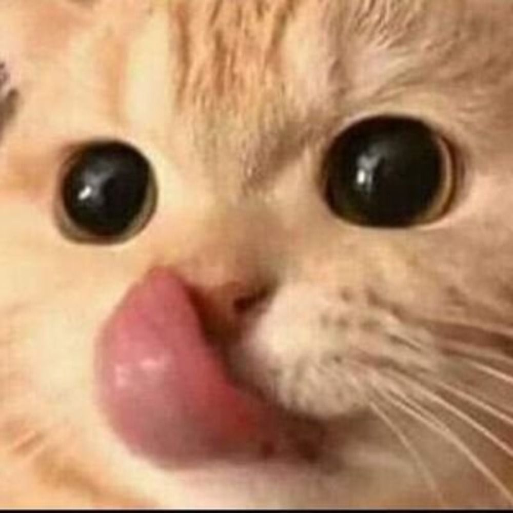 taisu