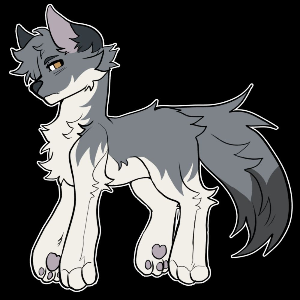 V8WOLF