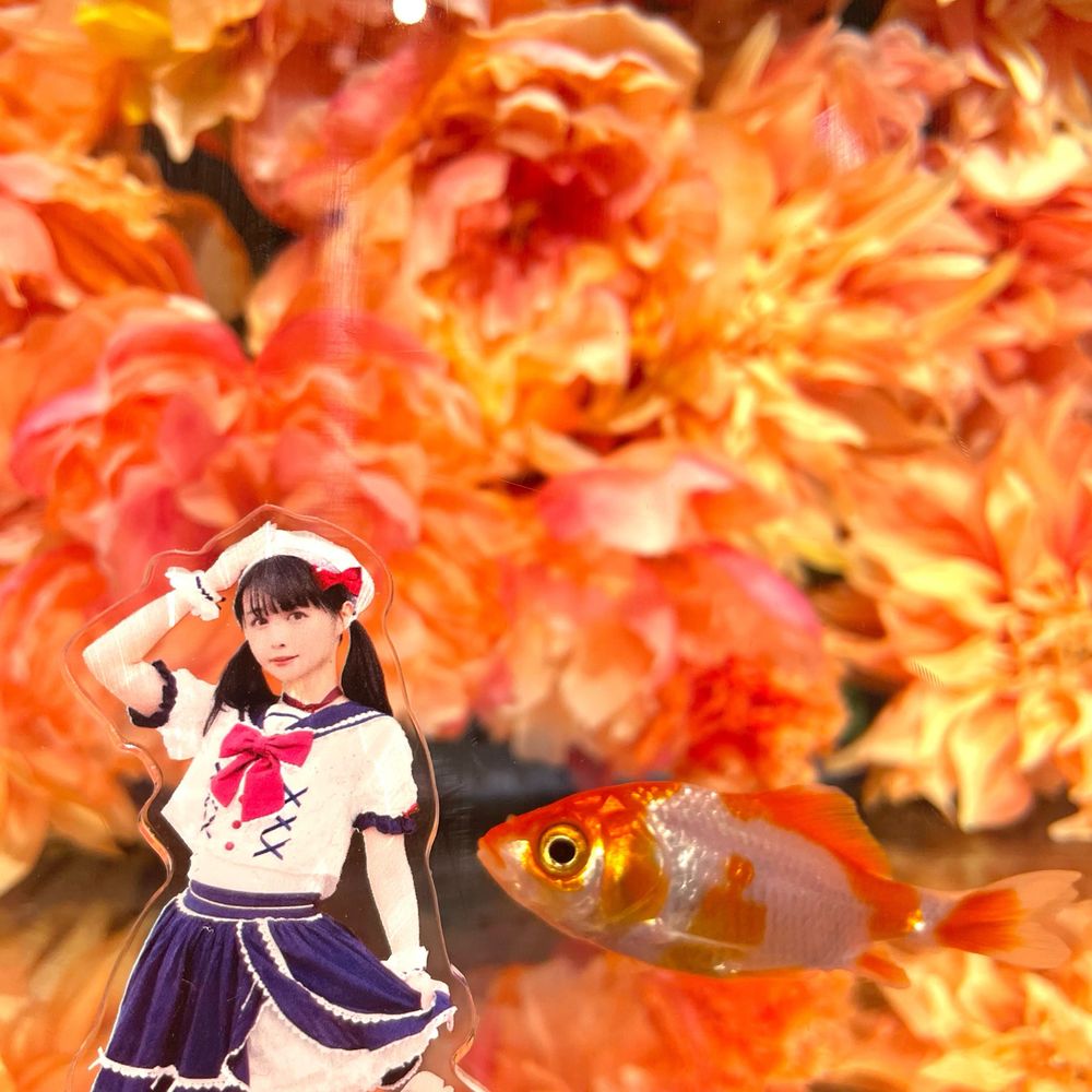 もこもこ🅿️