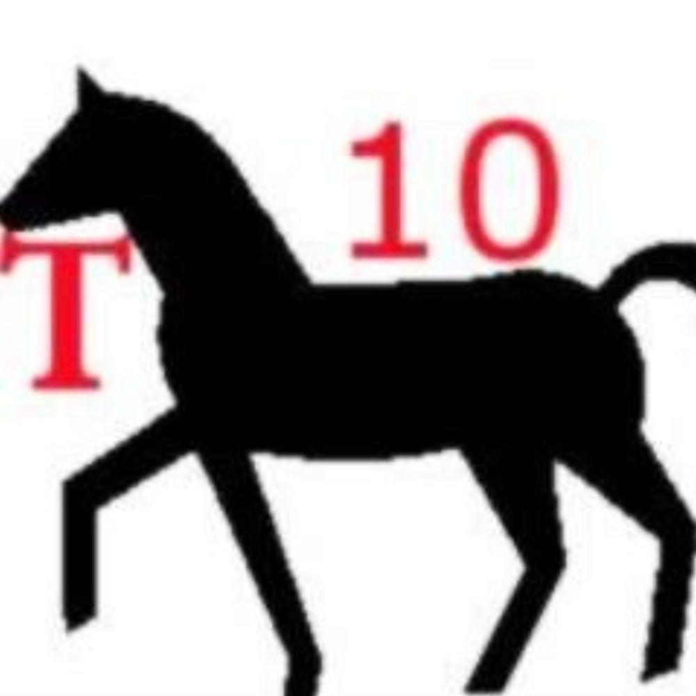 T'horse10's avatar