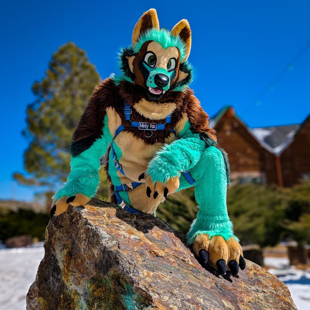 Ruvi, The Creme De Menthe Fox!