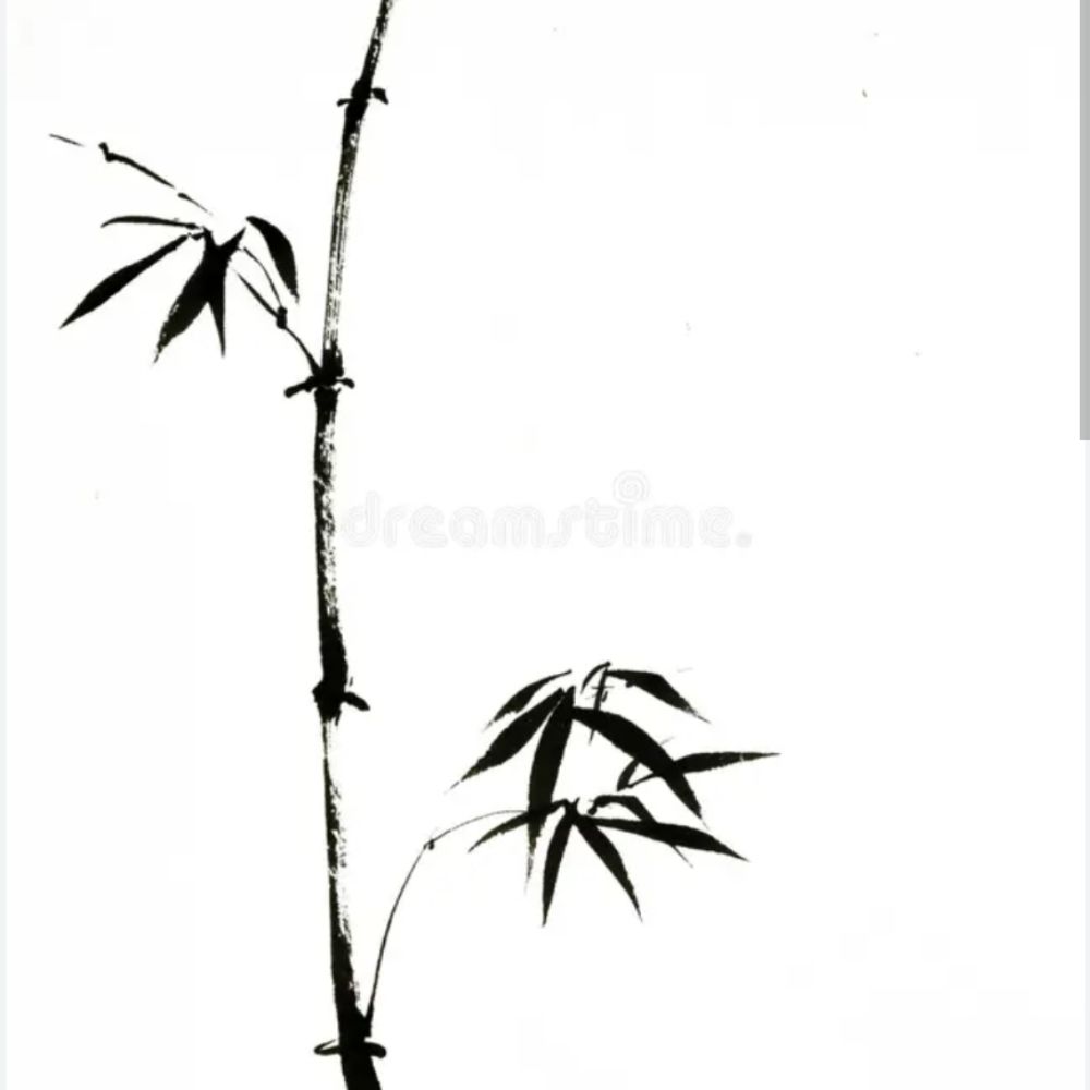 Blank Boy