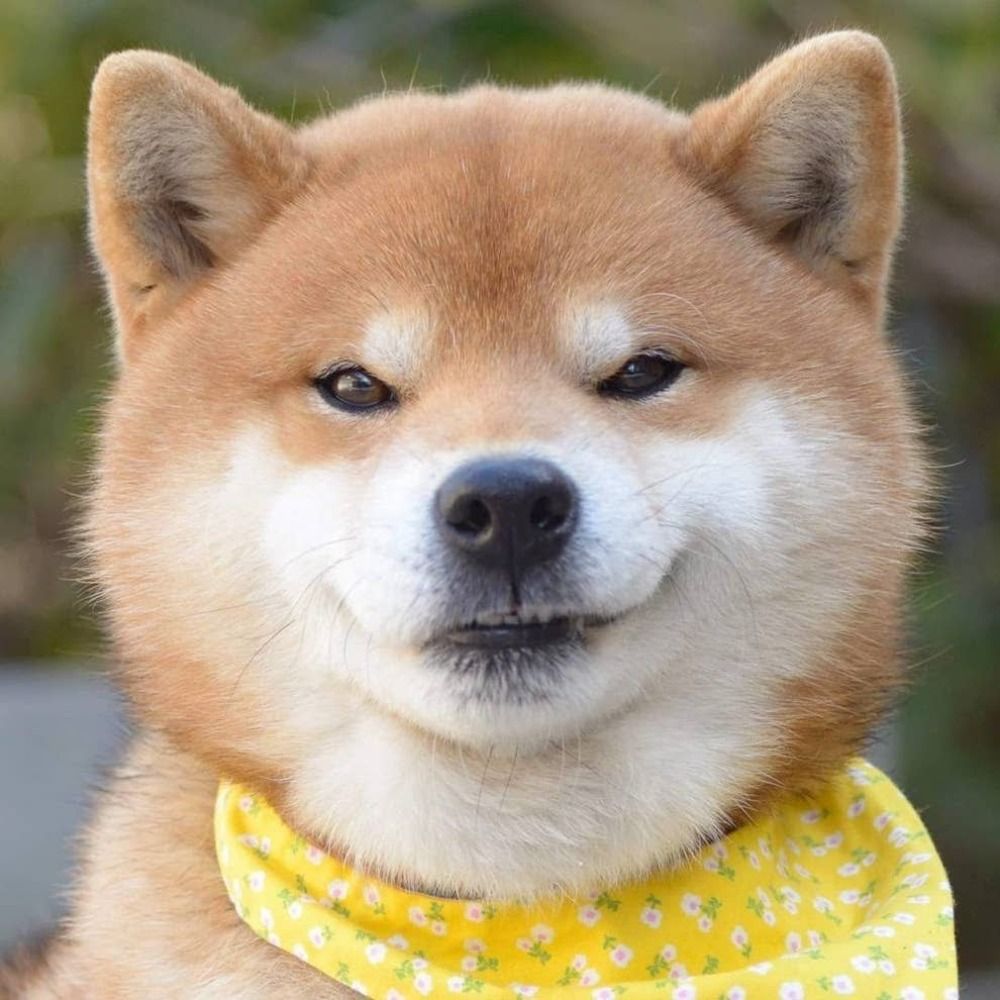 ほくと