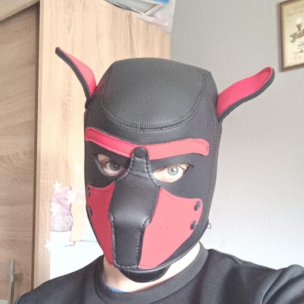 Pup Hiro