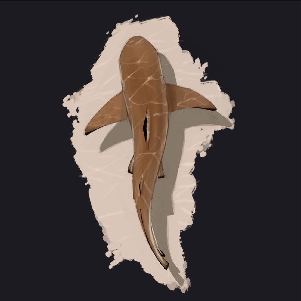Harris Illustration