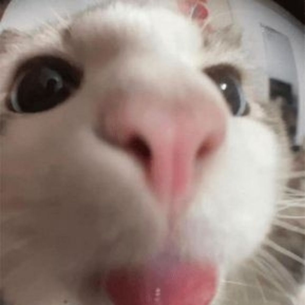 Luluhhh