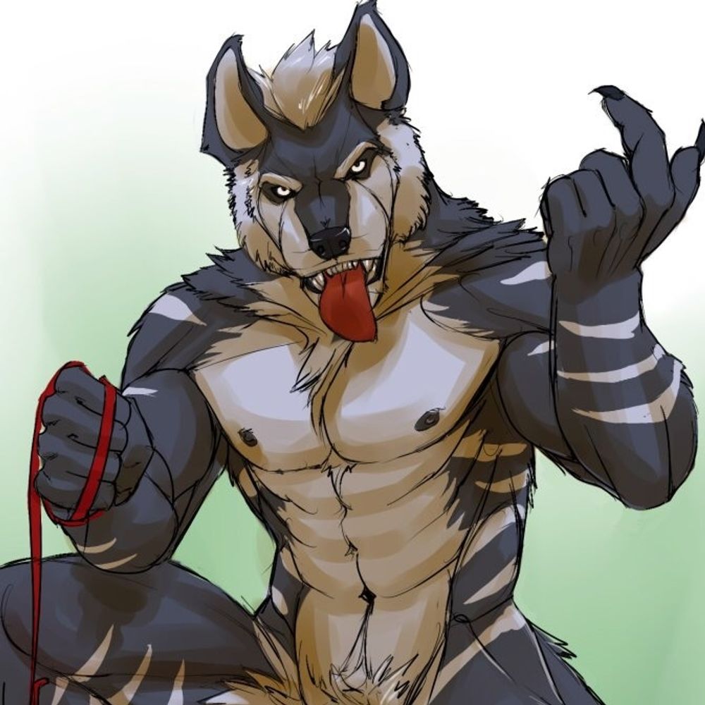 Hycoon Typhoon
