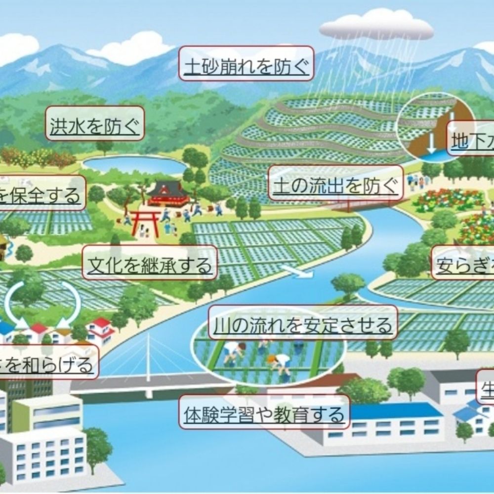 多面的トレーダー