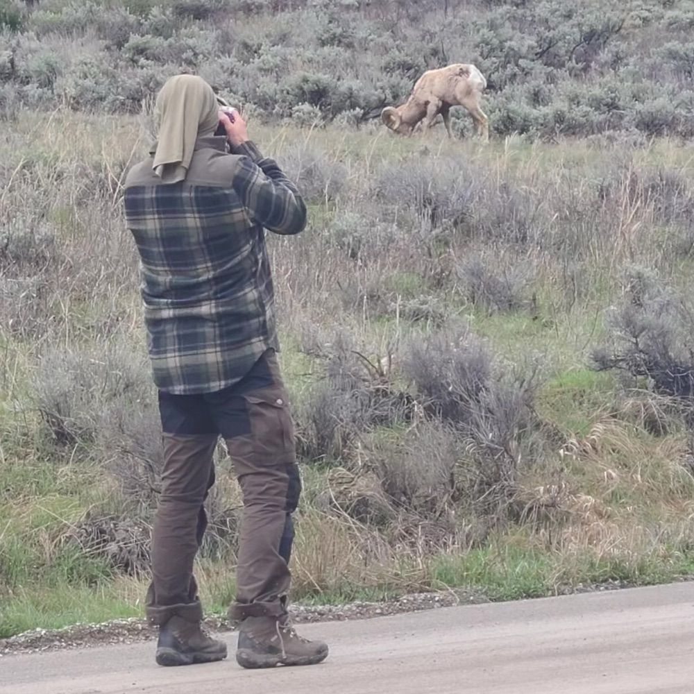 Jim Schembri - Wildlife Photography