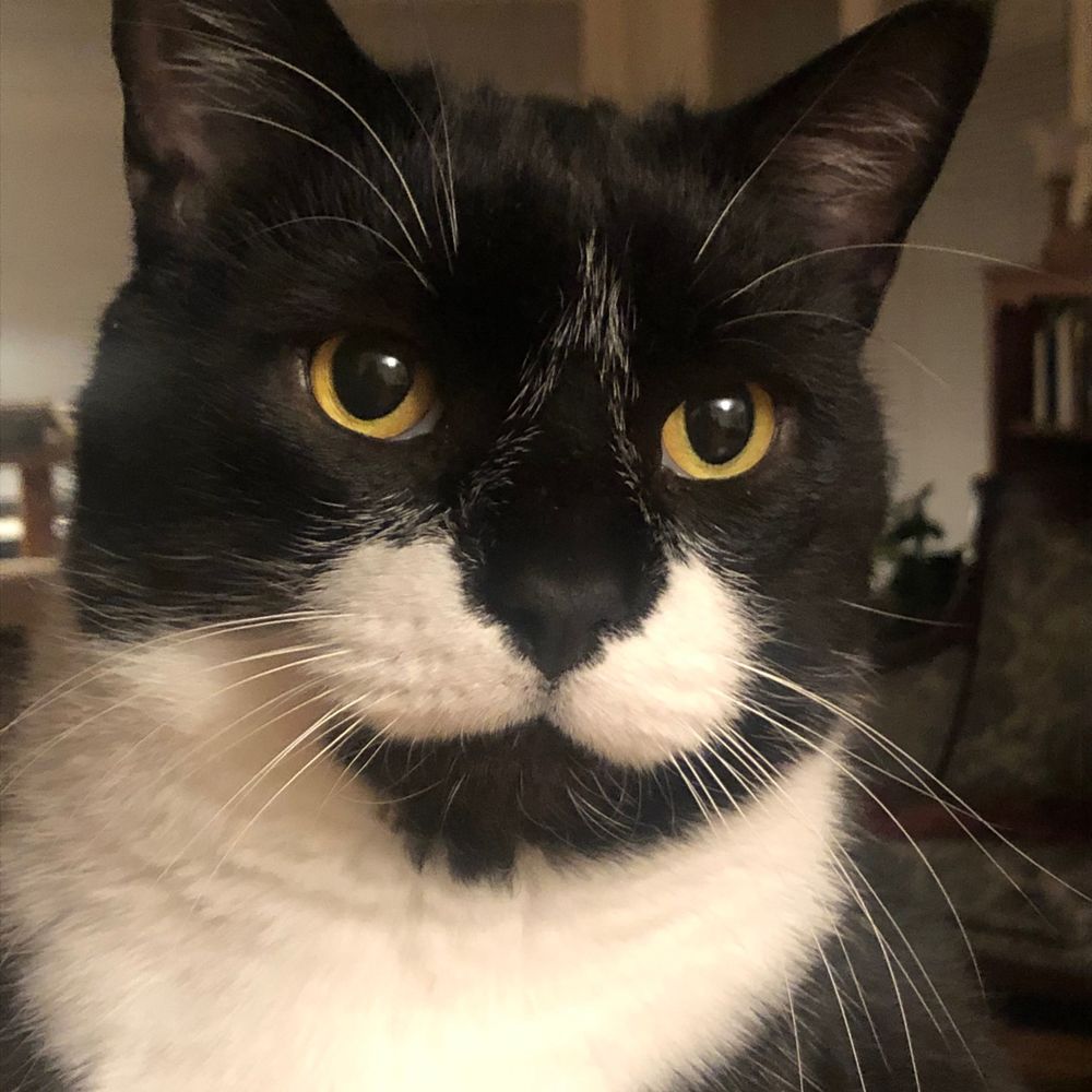 Otis Balboa