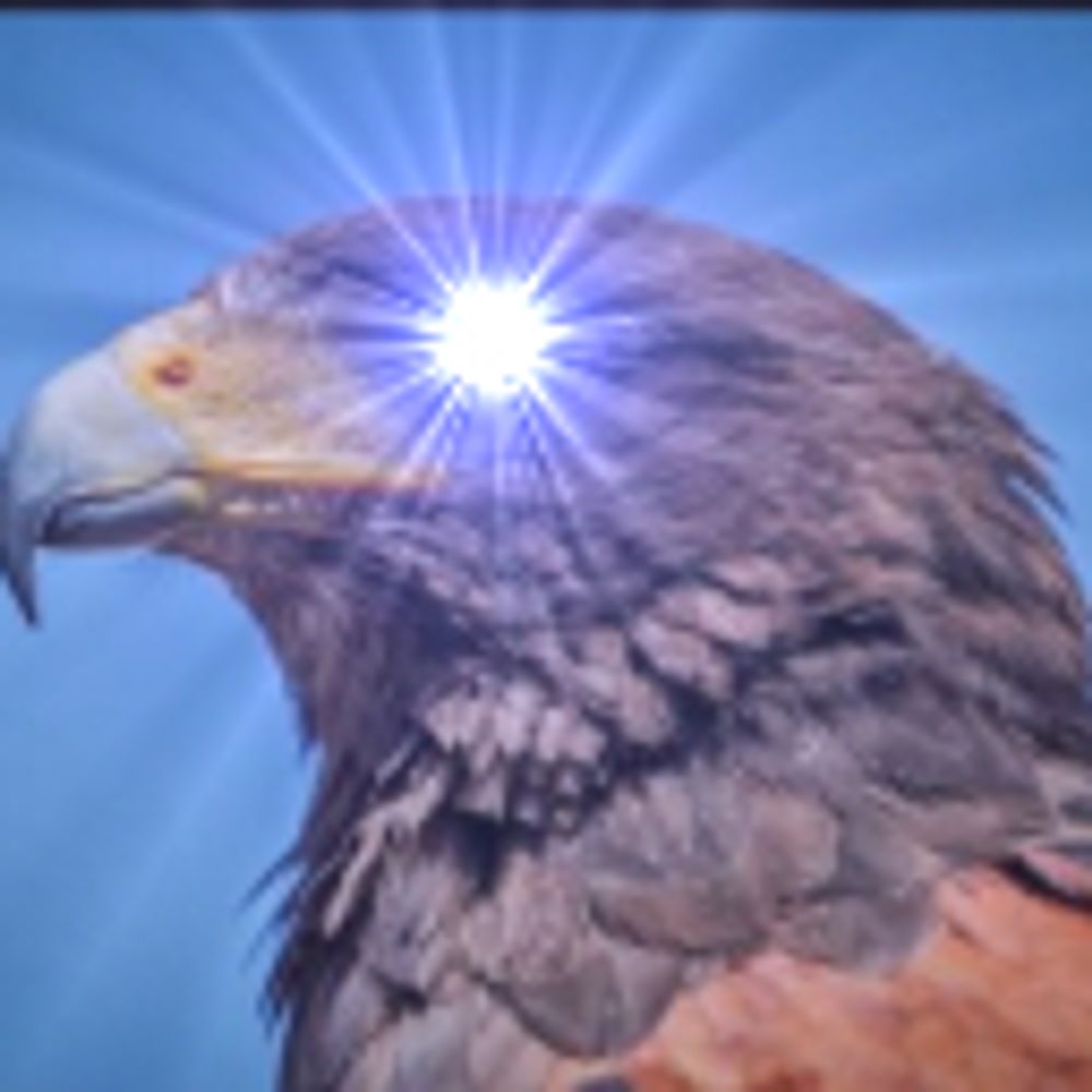 Hawk Eye