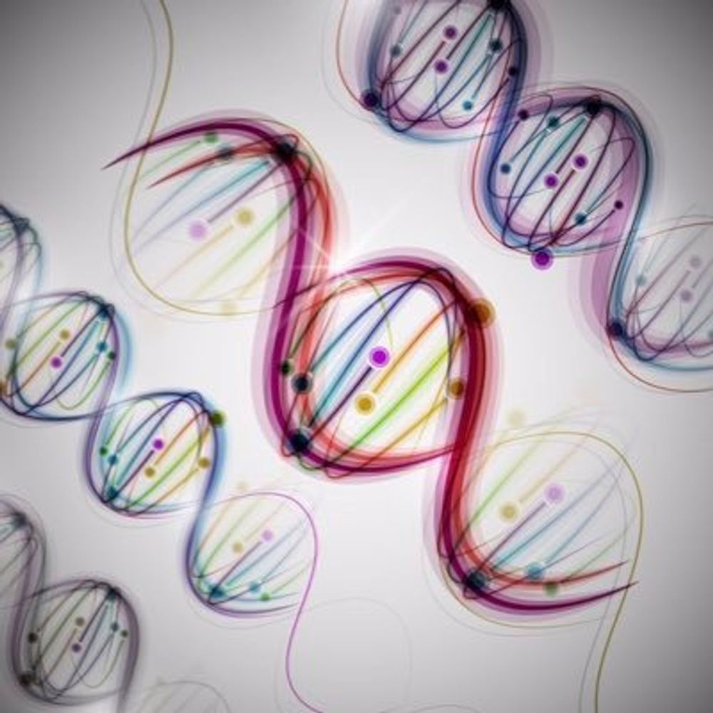 Genetics in Hematology Research Group (USAL)