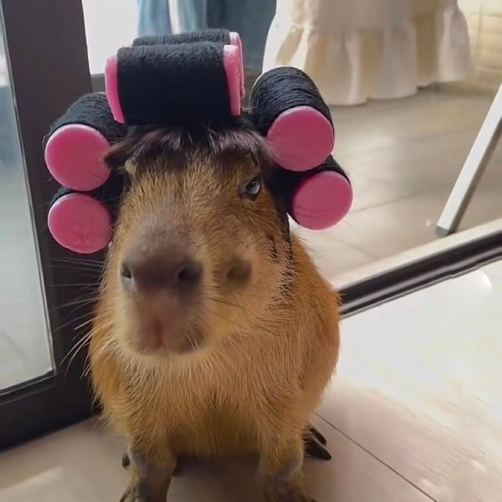 tinybel