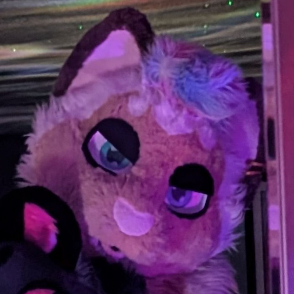 thyme AD ➡️ Furlandia