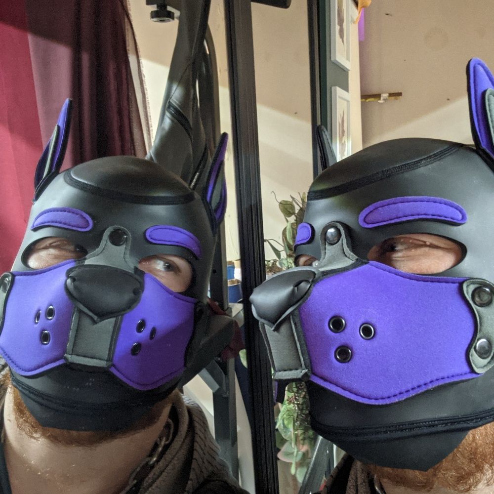 Pup Coganor