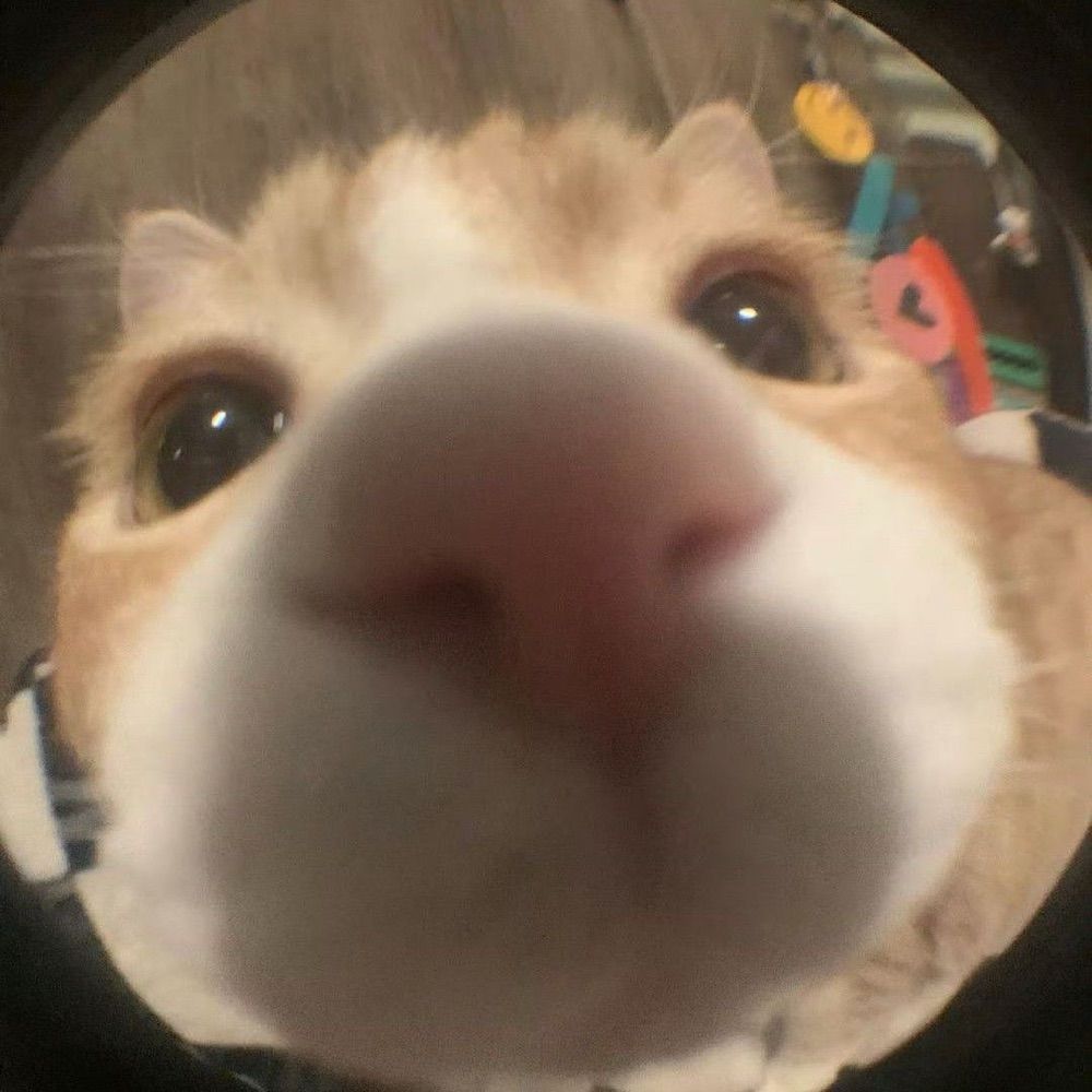 ؘ