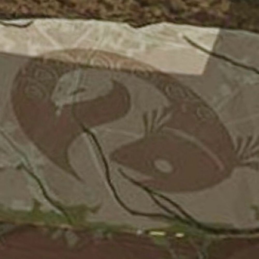 水魚.